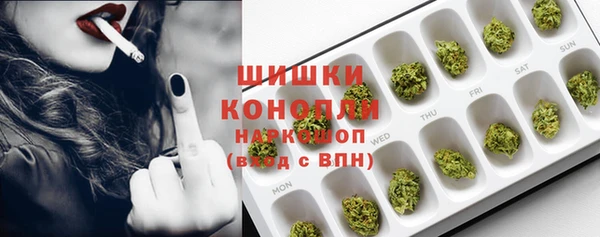 прущие грибы Осташков