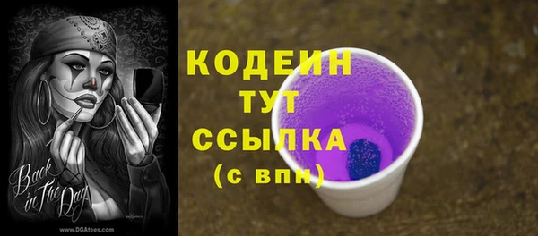 прущие грибы Осташков