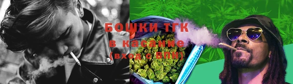 прущие грибы Осташков
