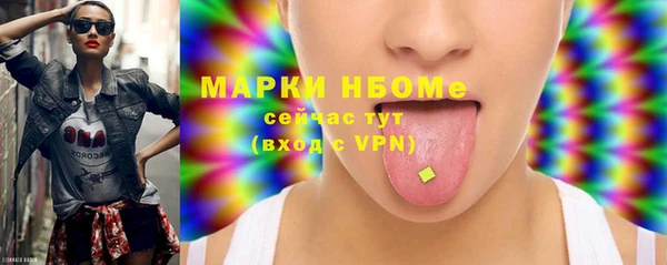 прущие грибы Осташков