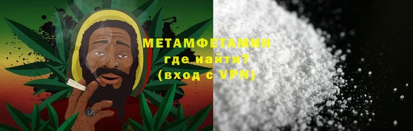 прущие грибы Осташков