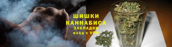 прущие грибы Осташков