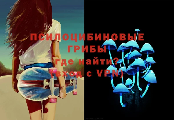 прущие грибы Осташков