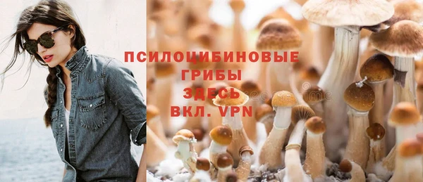 прущие грибы Осташков