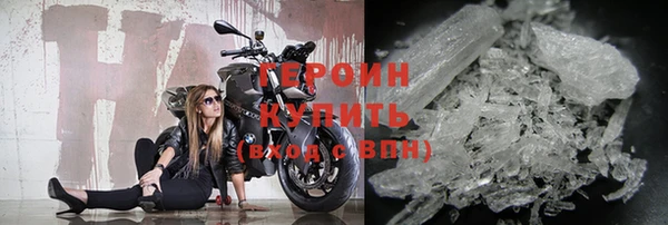 прущие грибы Осташков