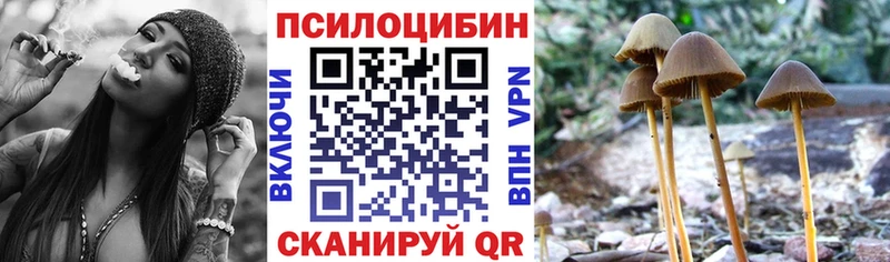 Галлюциногенные грибы мицелий где купить mega зеркало Королёв