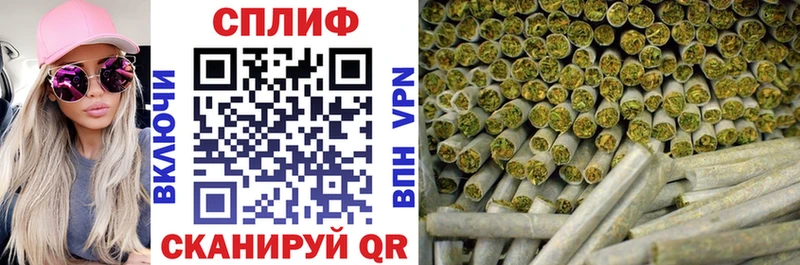 купить   Королёв  Конопля планчик 